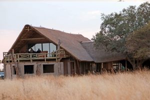 IMG_0241