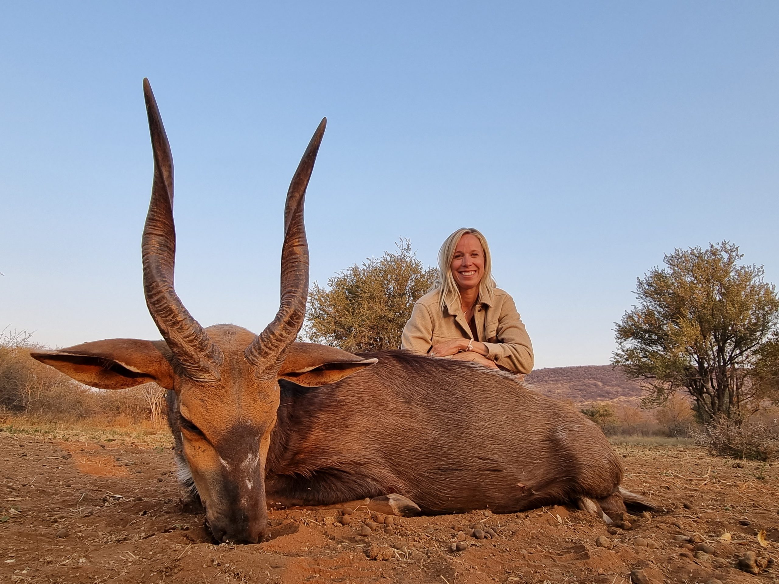 bushbuck safaris